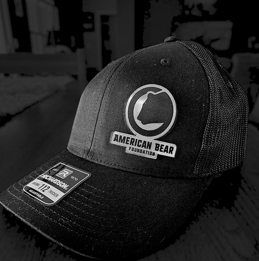 ABF Silver Panel Patch Hat